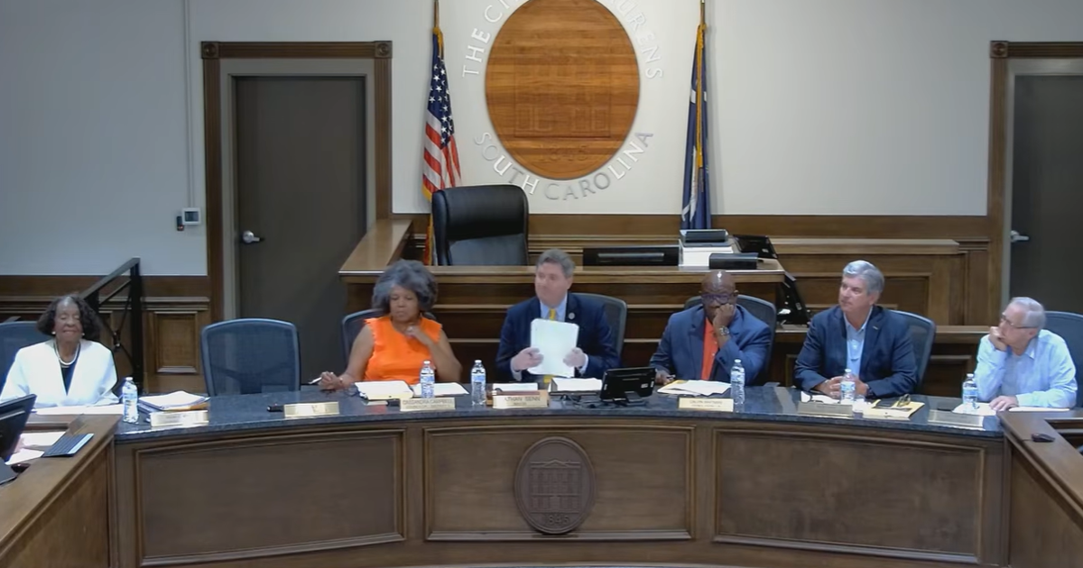 Laurens City Council unanimously approves first reading of noise and animal ordinance updates | News