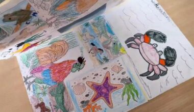 Allentown students exchange artwork, letters, with kids in Puerto Rico | Allentown Area