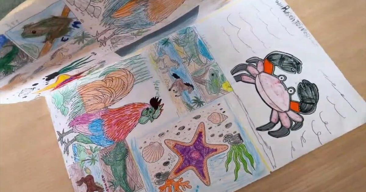 Allentown students exchange artwork, letters, with kids in Puerto Rico | Allentown Area