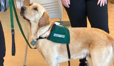'Teton' The Facility Dog helping patients at Reading Rehabilitation |