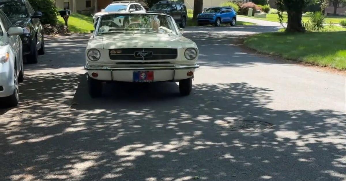 From the World's Fair to local roads: Why the Ford Mustang remains an All-American classic | Allentown Area
