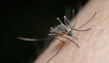 West Nile Virus Detected in Mosquitos from Mercer and Erie Counties | News