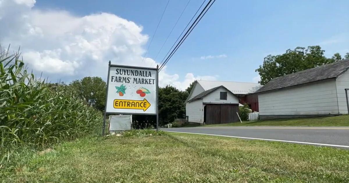 ‘You can't put a price on it’: Lehigh County Farmland Preservation sees surge of interest amid data center development | Lehigh County