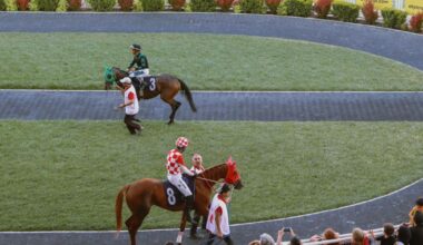 The Local Horses, Trainers, and Owners Making Waves in Pennsylvania Racing | Ncpa Media