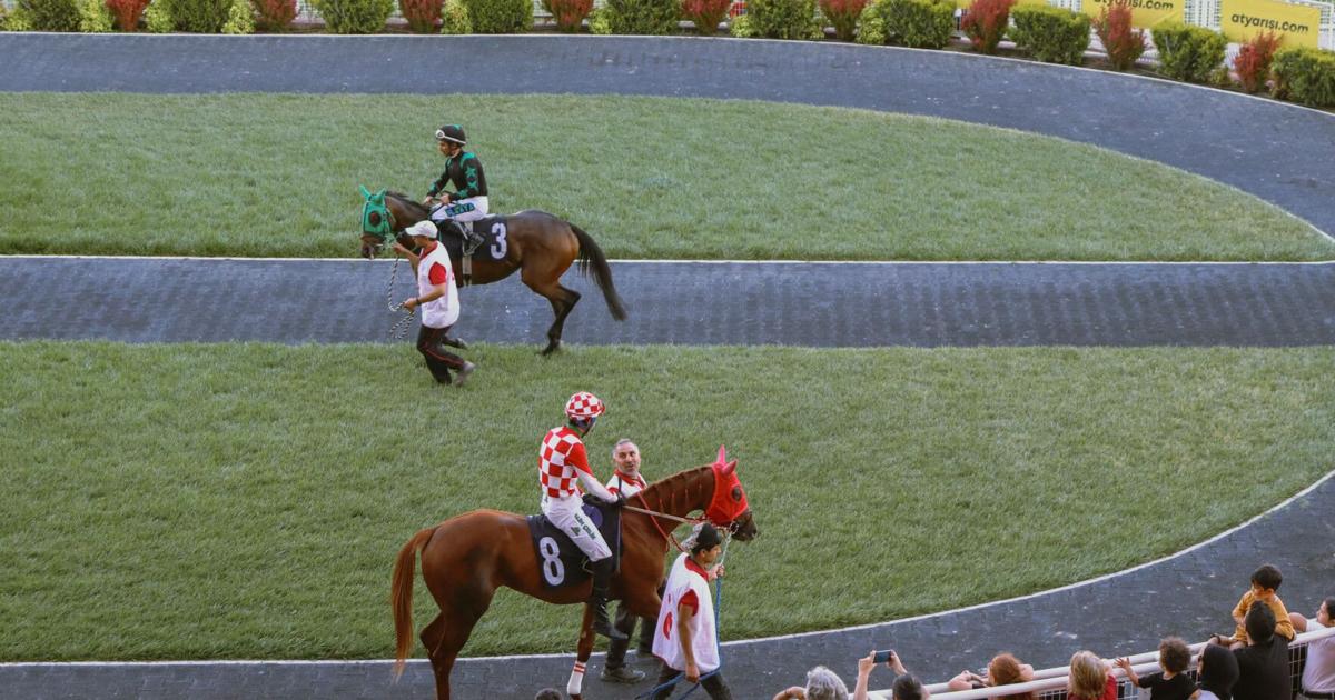 The Local Horses, Trainers, and Owners Making Waves in Pennsylvania Racing | Ncpa Media
