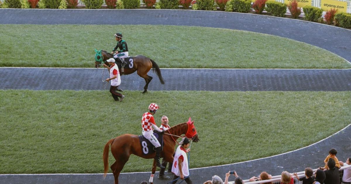 The Local Horses, Trainers, and Owners Making Waves in Pennsylvania Racing | State