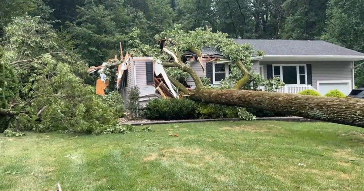 Quick-moving storm leaves severe damage across Berks County | Reading Area