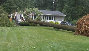 Quick-moving storm leaves damage across Berks County | Video