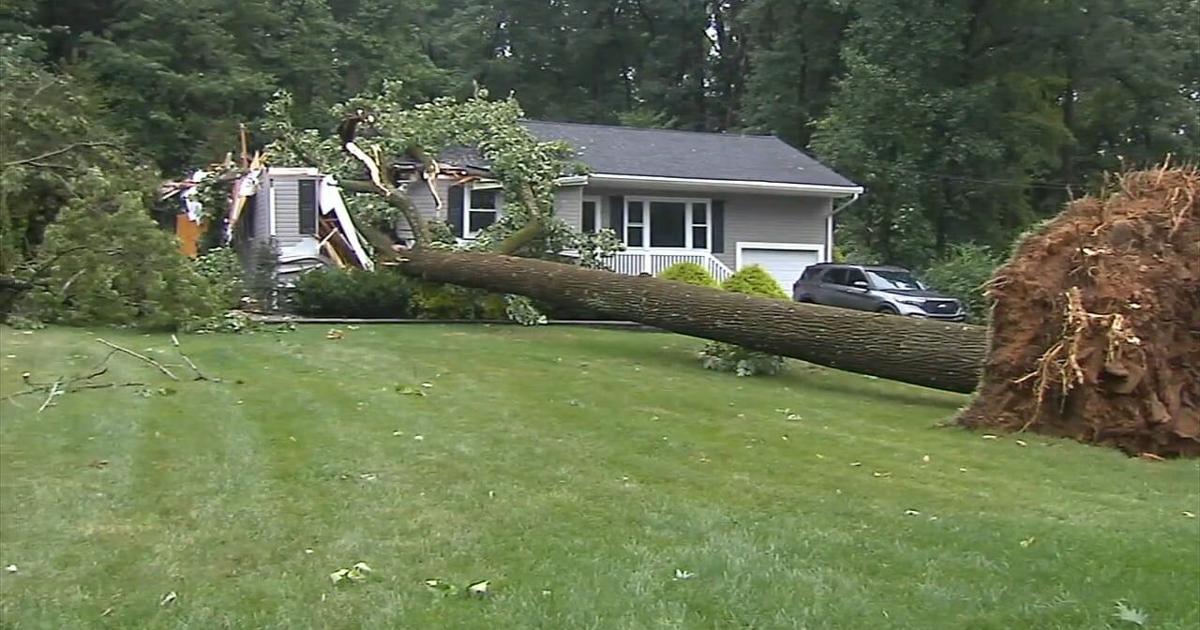 Quick-moving storm leaves damage across Berks County | Video