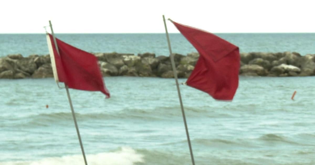 Presque Isle Beach 3 Closed to Swimming Due to High E. Coli Levels | News