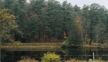 Millions from state lands could be redirected to rural Pennsylvania to help make up for tax-exempt property | Pennsylvania News