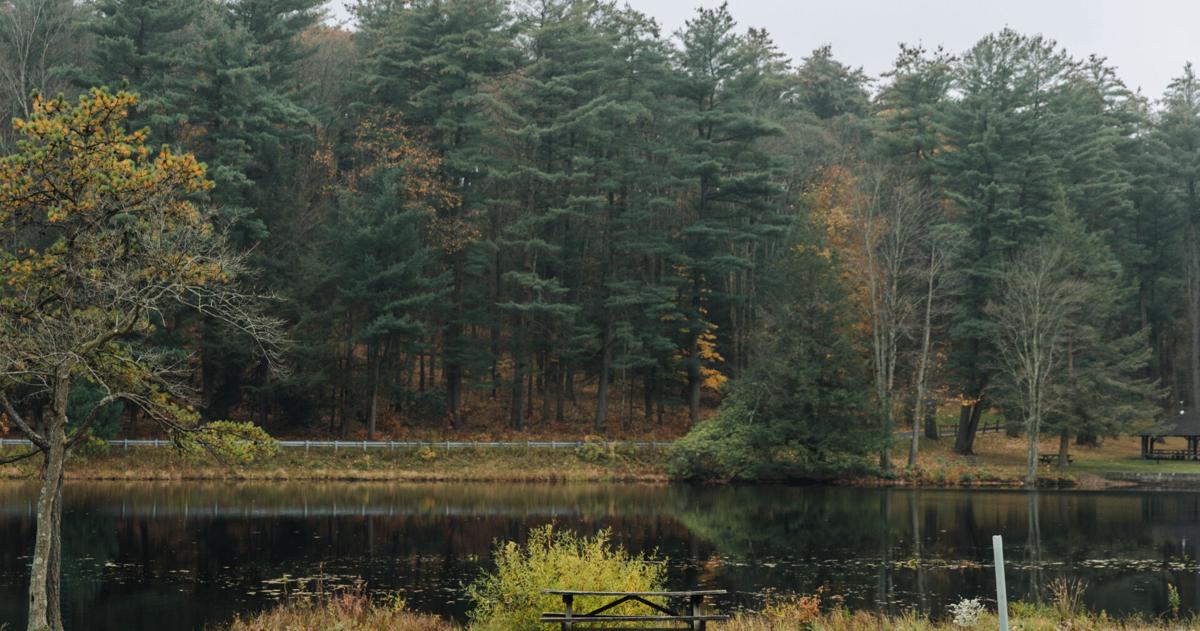 Millions from state lands could be redirected to rural Pennsylvania to help make up for tax-exempt property | Pennsylvania News