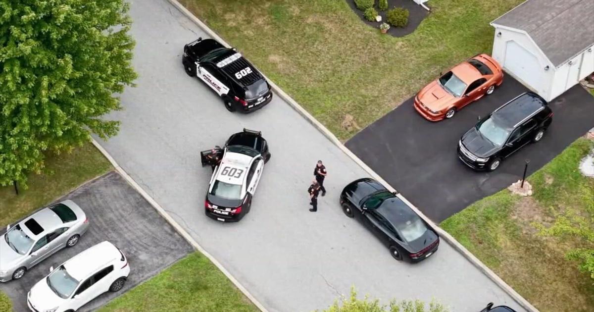 Man attacked mom, 71, before being shot by police, neighbor says | Nazareth Area