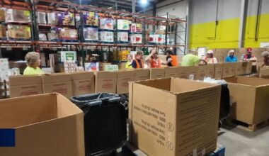 Reading Hospital workers give back by volunteering | Reading Area