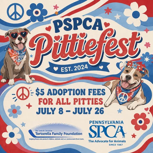 May be an image of text that says 'A Pittiefest EST.2024 $5 ADOPTION FEES FOR ALL PITTIES JULY 8 8- -JULY 26 PENNSYLVANIA John Christine Tortorella Family Foundation SPCA Helping htphpewe.weo sewio protecte children, animals our nviroren harm, The Advocate for Animals SINCE 1867'