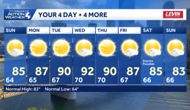 4+4 more forecast