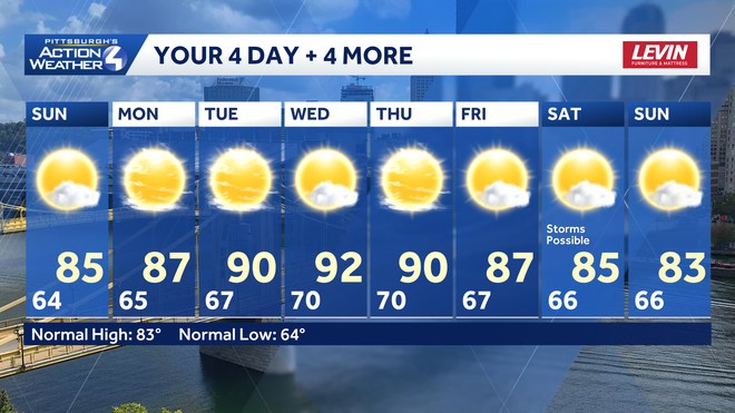 4+4 more forecast