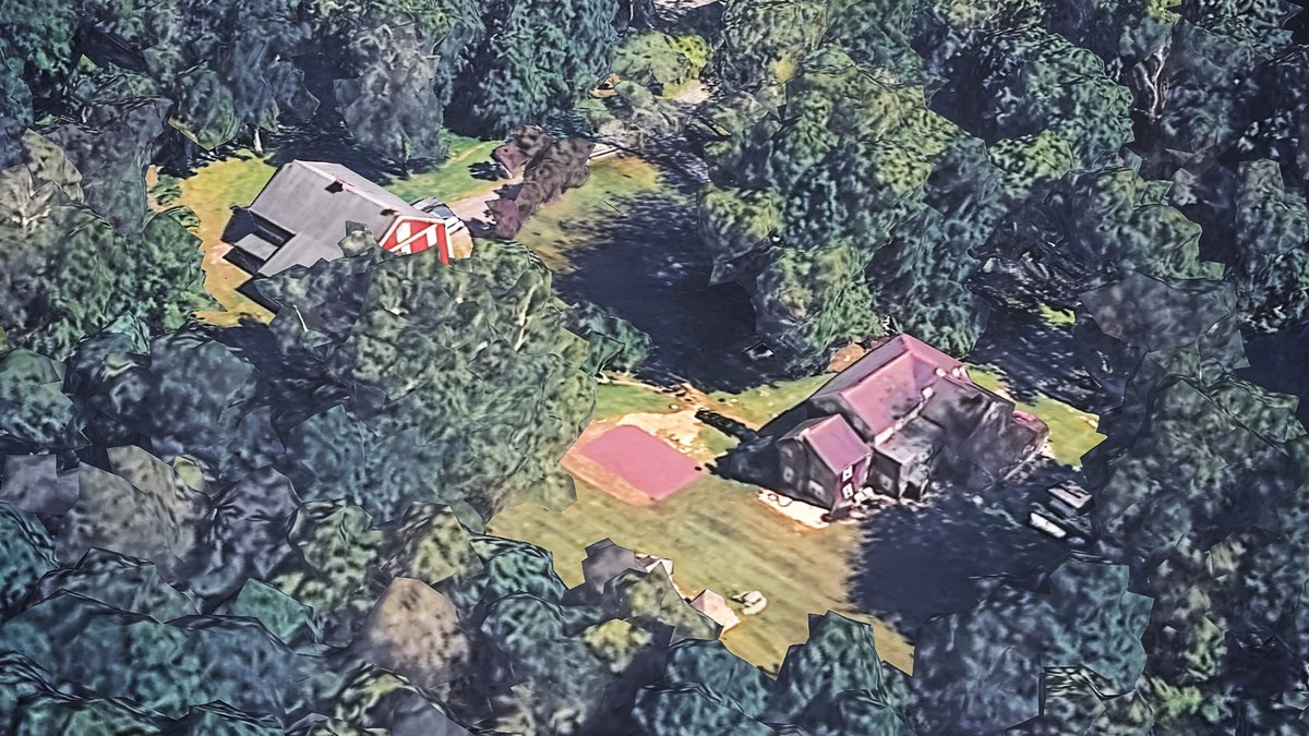 Pennsylvania Couple Discover Their Dream Home Is Infested With Snakes
