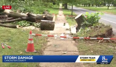 Storms claim lives of mother, son, snap trees, wash out roads in South-Central Pennsylvania