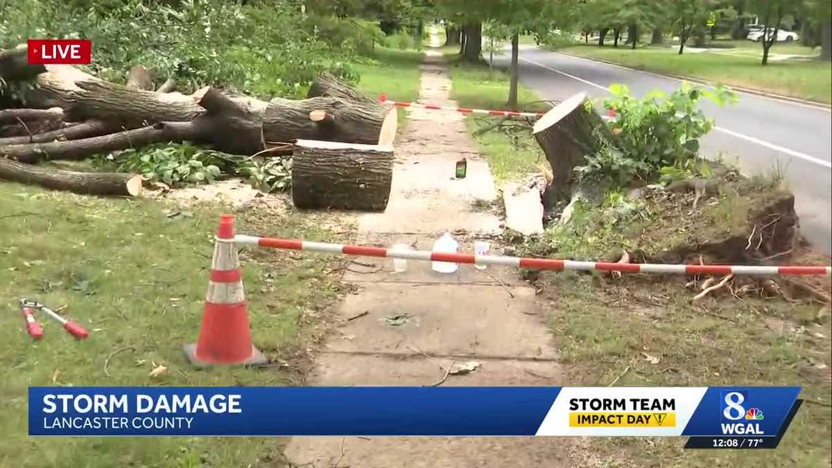 Storms claim lives of mother, son, snap trees, wash out roads in South-Central Pennsylvania