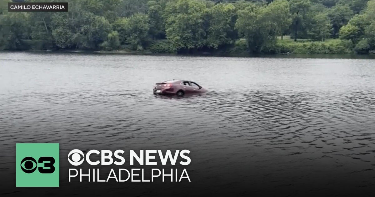 Philadelphia to the rescue! Good Samaritans pull driver to safety after car plunges into river