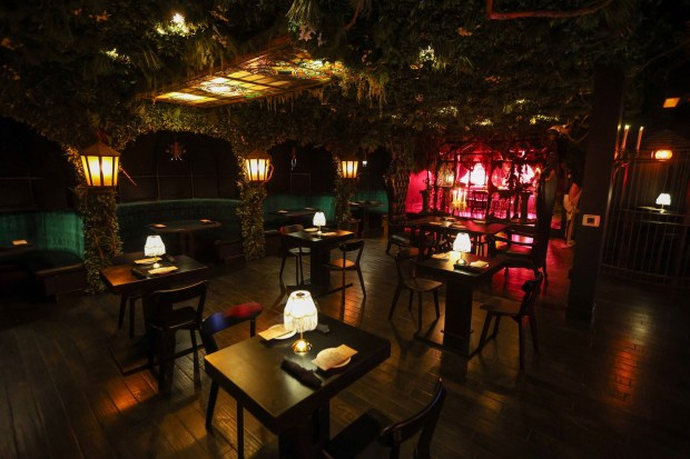 The interior of 'The House Noir' in Pittston on Friday, June 26, 2026. (JASON ARDAN / STAFF PHOTOGRAPHER)