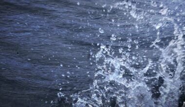 Boat capsizes on Lake Erie, 3 people rescued near Fairport Harbor