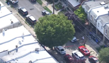 Man fatally stabbed in Philadelphia, homicide investigation underway – NBC10 Philadelphia