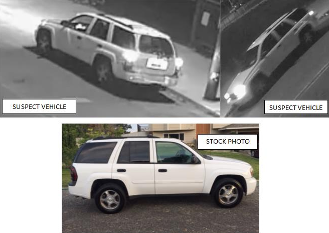 Hit and run temple vehicle