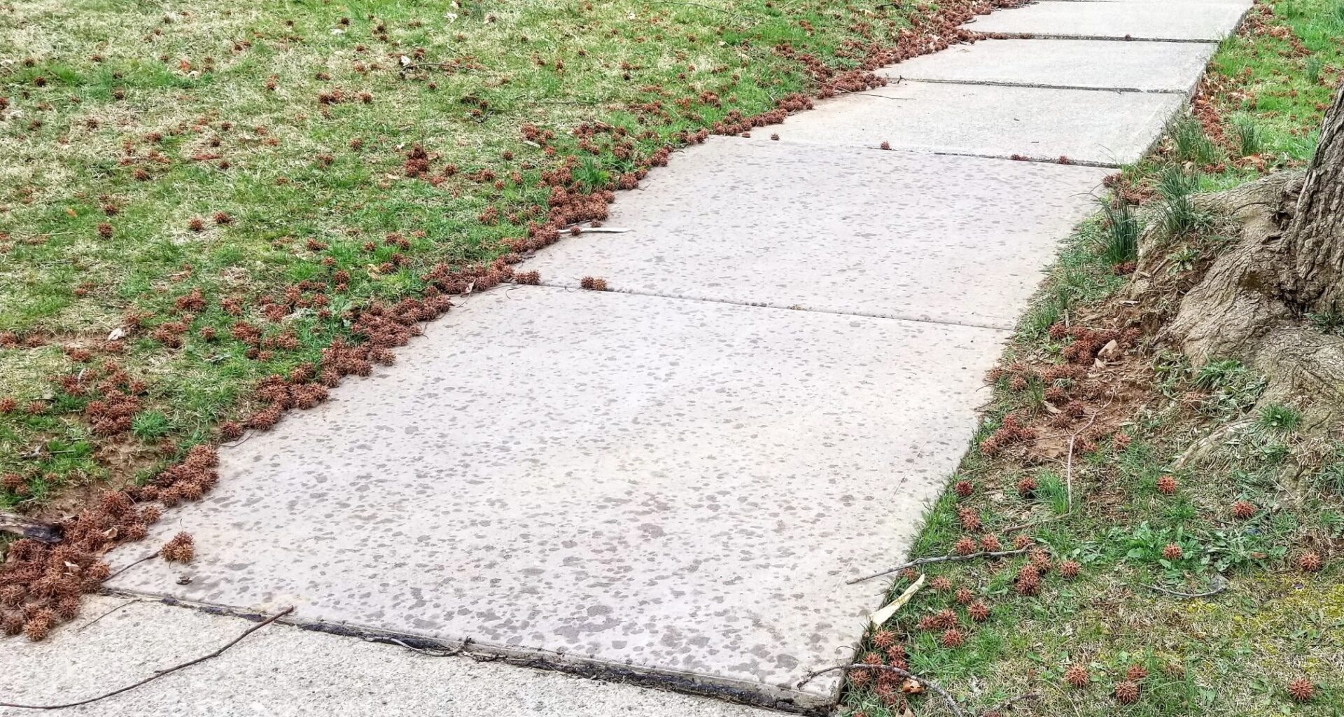 Hellertown Adopts Sidewalk Ordinance, Talks Sheetz Opening – Saucon Source