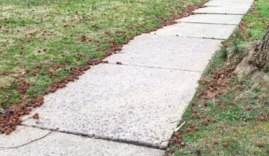 Hellertown Adopts Sidewalk Ordinance, Talks Sheetz Opening – Saucon Source