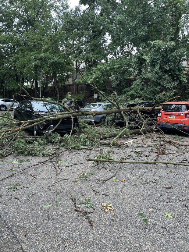 Downed trees caused damage throughout parts of Lower Merion and Narberth Saturday. (Photos Merion Fire Company of Ardmore)