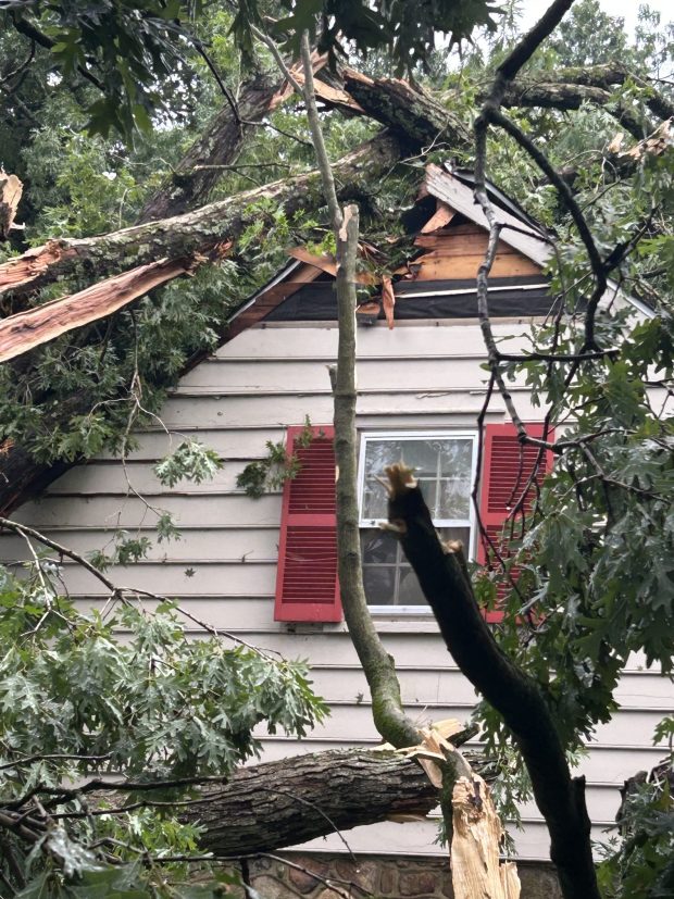 Downed trees caused damage throughout parts of Lower Merion and Narberth Saturday. (Photos Merion Fire Company of Ardmore)