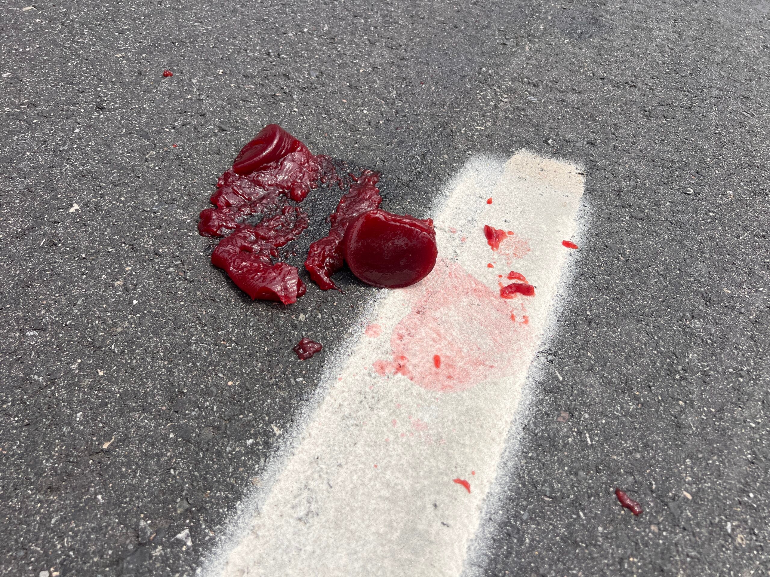 A smashed can of what looks to be cranberry sauce on the roadway of the Ben Frankiln Bridge.