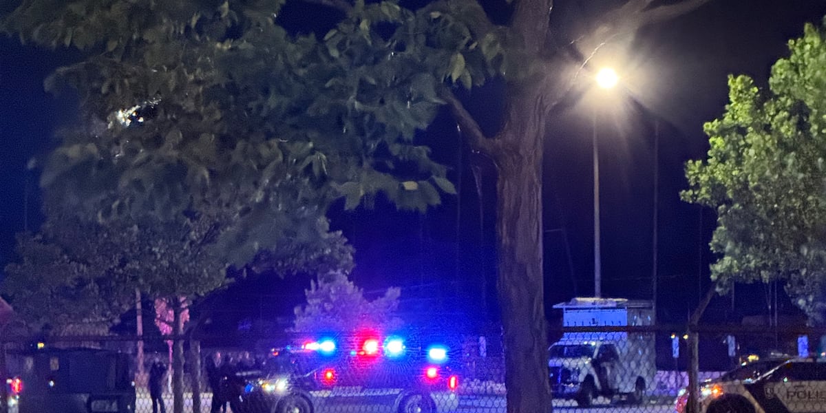Multiple Cleveland, state agencies search for boy in Lake Erie