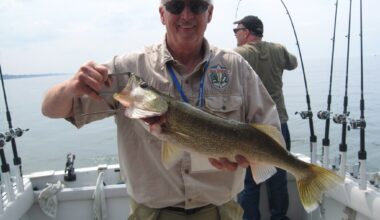 Unique year for Lake Erie walleye