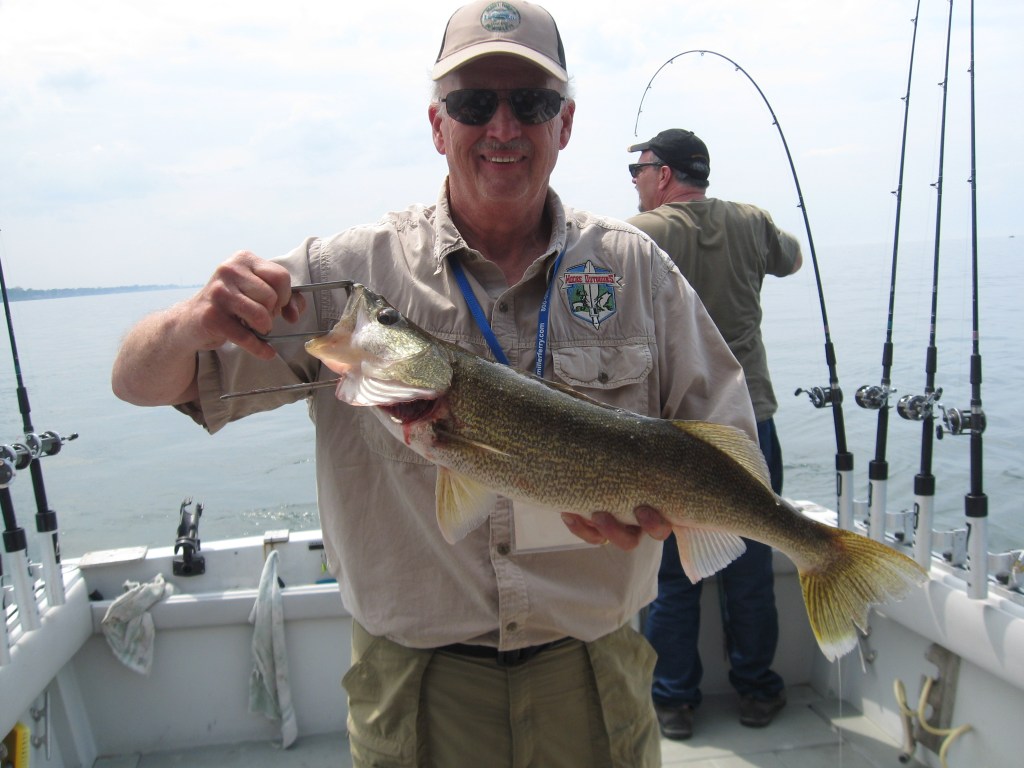 Unique year for Lake Erie walleye