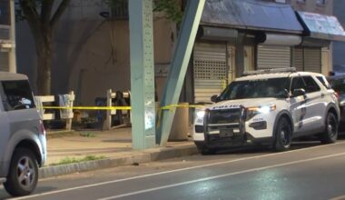 Man hurt, dog killed in Kensington shooting, police say – NBC10 Philadelphia
