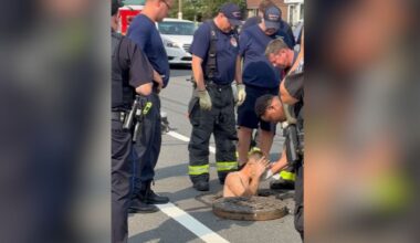 Crews free man trapped beneath manhole in Northeast Philadelphia – NBC10 Philadelphia