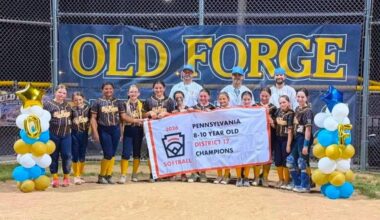 LITTLE LEAGUE ROUNDUP: Old Forge wins D17 Minor Softball championship – Scranton Times-Tribune