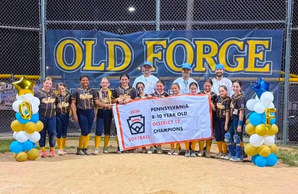 LITTLE LEAGUE ROUNDUP: Old Forge wins D17 Minor Softball championship – Scranton Times-Tribune