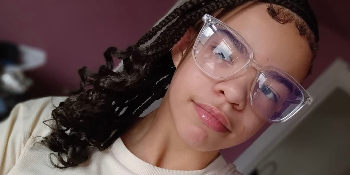 ‘The voyage lasted less than 15 minutes’: court docs filed in 11-year-old’s death in Lake Erie