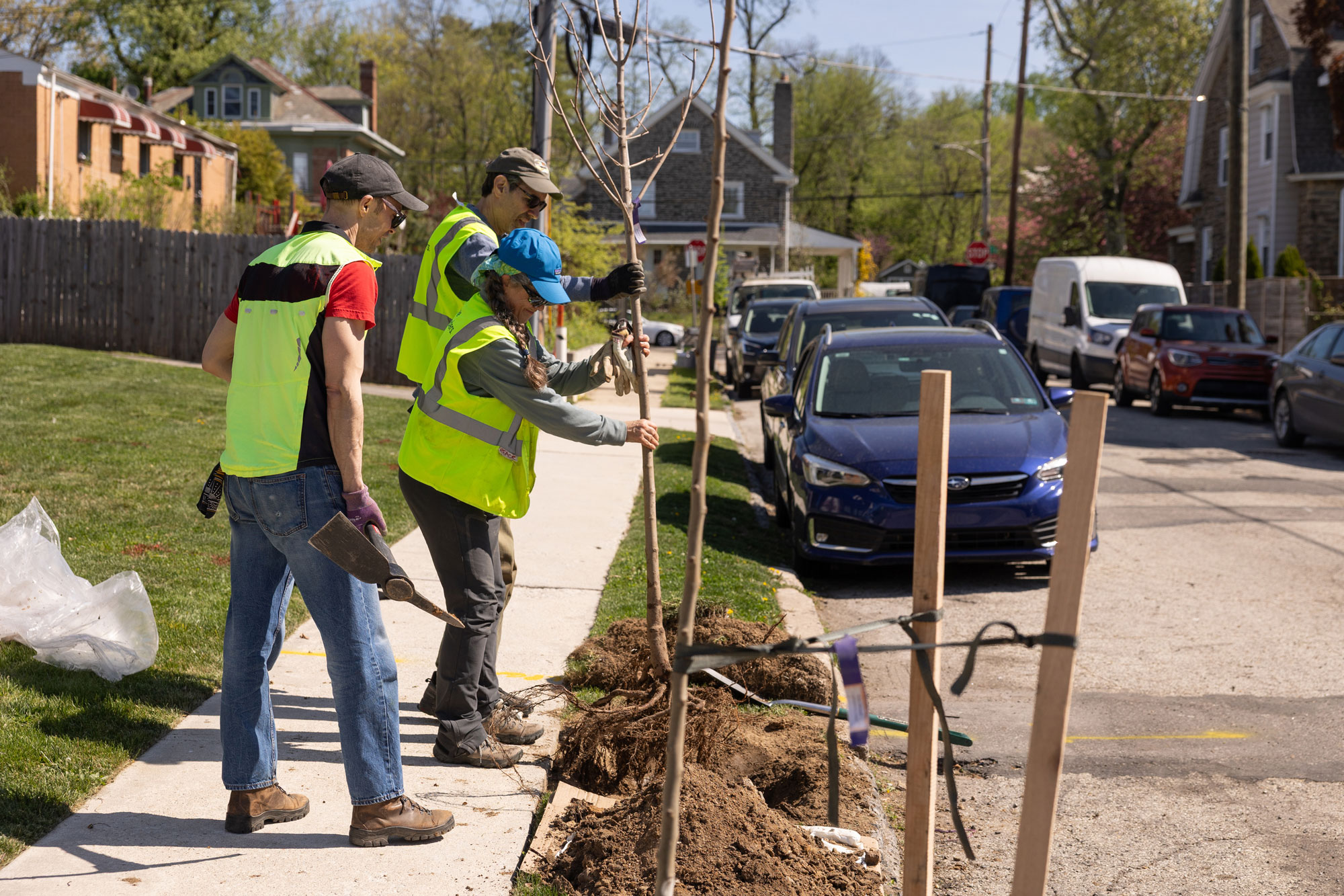 Tree Tenders plant street trees in Philadelphia on April 18, 2026