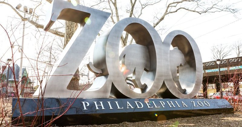 Philly firsts: For over 150 years, the Philly Zoo has been a pioneer in its field
