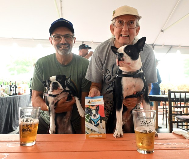 David and Lina Myers of Fleetwood with their Boston terriers, Millie and Jake, during Humane Pennsylvania's Pints for Pups festival at Classic Harley- Davidson on Saturday, July 18, 2026. (BILL UHRICH/READING EAGLE)