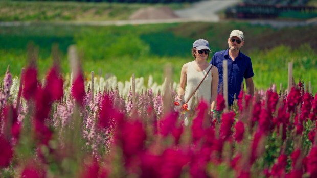 Lakeland Orchard & Cidery in Scott Twp. is holding its Blues, Brews, & BBQ event Thursday through Sundays in July. (Courtesy of Ryan Wood/Lakeland Orchard & Cidery)