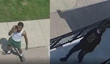 PSPCA seeks pair who abandoned injured dog at Philly shelter – NBC10 Philadelphia