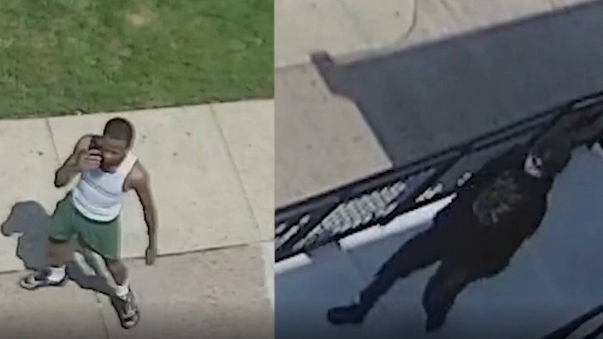 PSPCA seeks pair who abandoned injured dog at Philly shelter – NBC10 Philadelphia