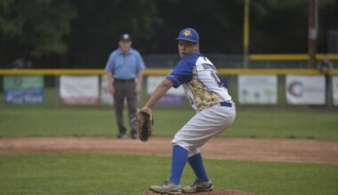 LITTLE LEAGUE ROUNDUP: Brunori lifts Carbino Club/Archbald past Wallenpaupack – Scranton Times-Tribune