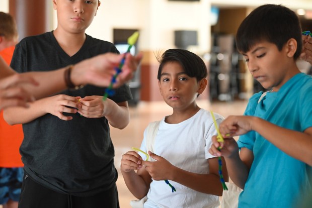 Students learn about neuroscience during the Career Quest Summer Camp at Scranton High School Wednesday, July 29, 2026. (SEAN MCKEAG / STAFF PHOTOGRAPHER)